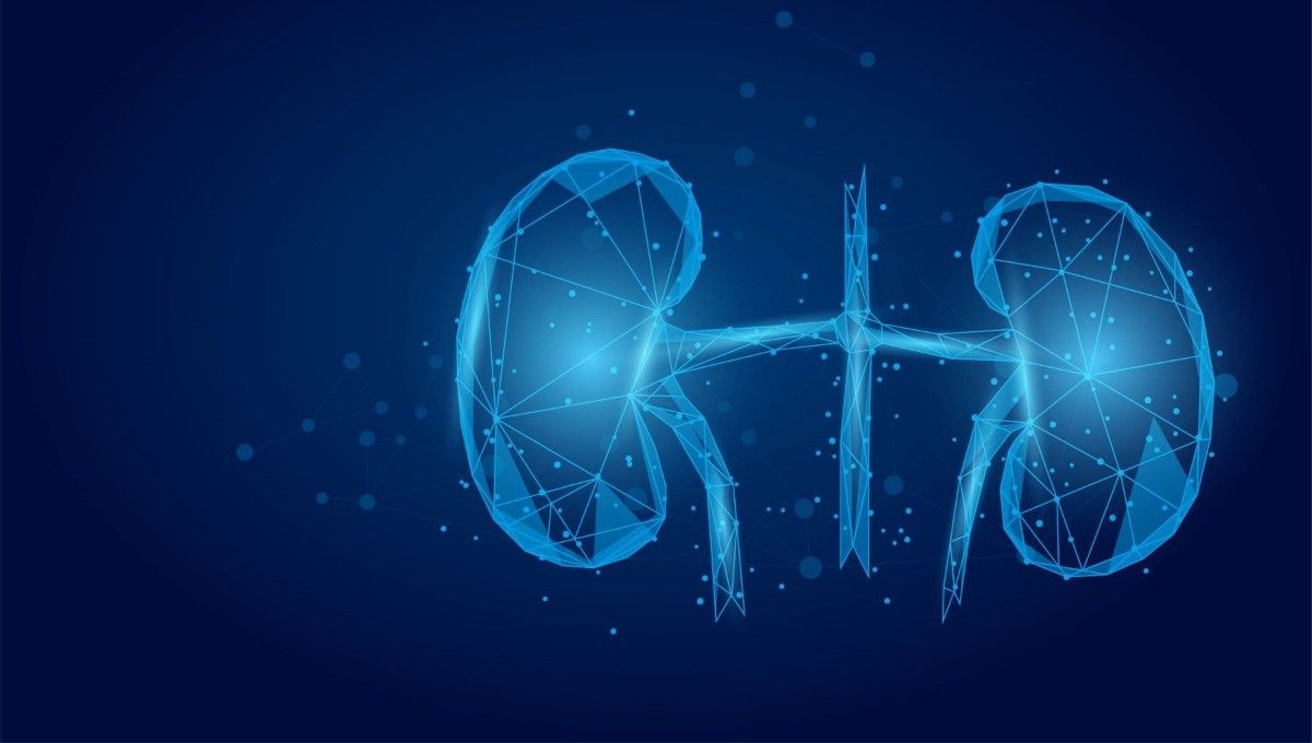 69e9e97eca05214dd6f8cc538f6d4dcd